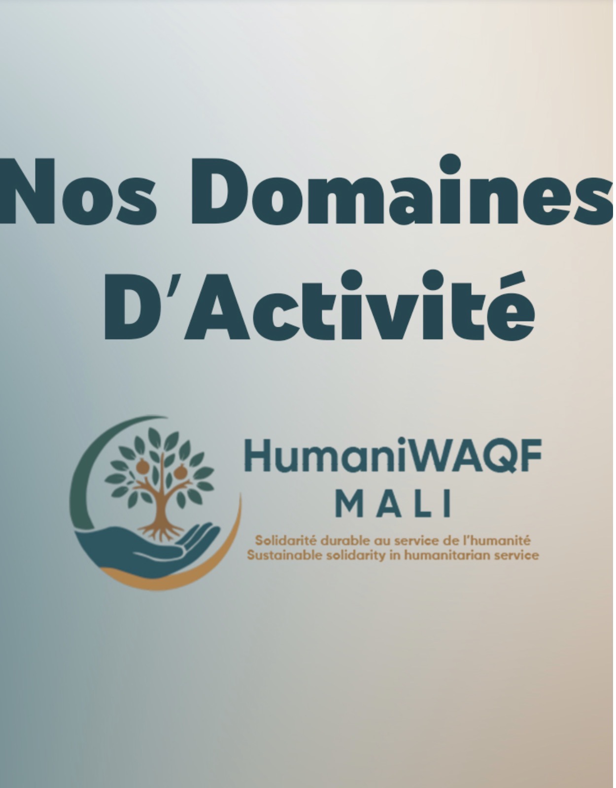 Développement économique et soutien à l’entrepreneuriat